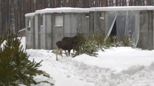 WP_20150119_14_33_20_Pro