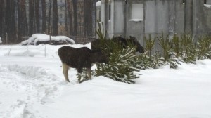 WP_20150119_14_34_47_Pro